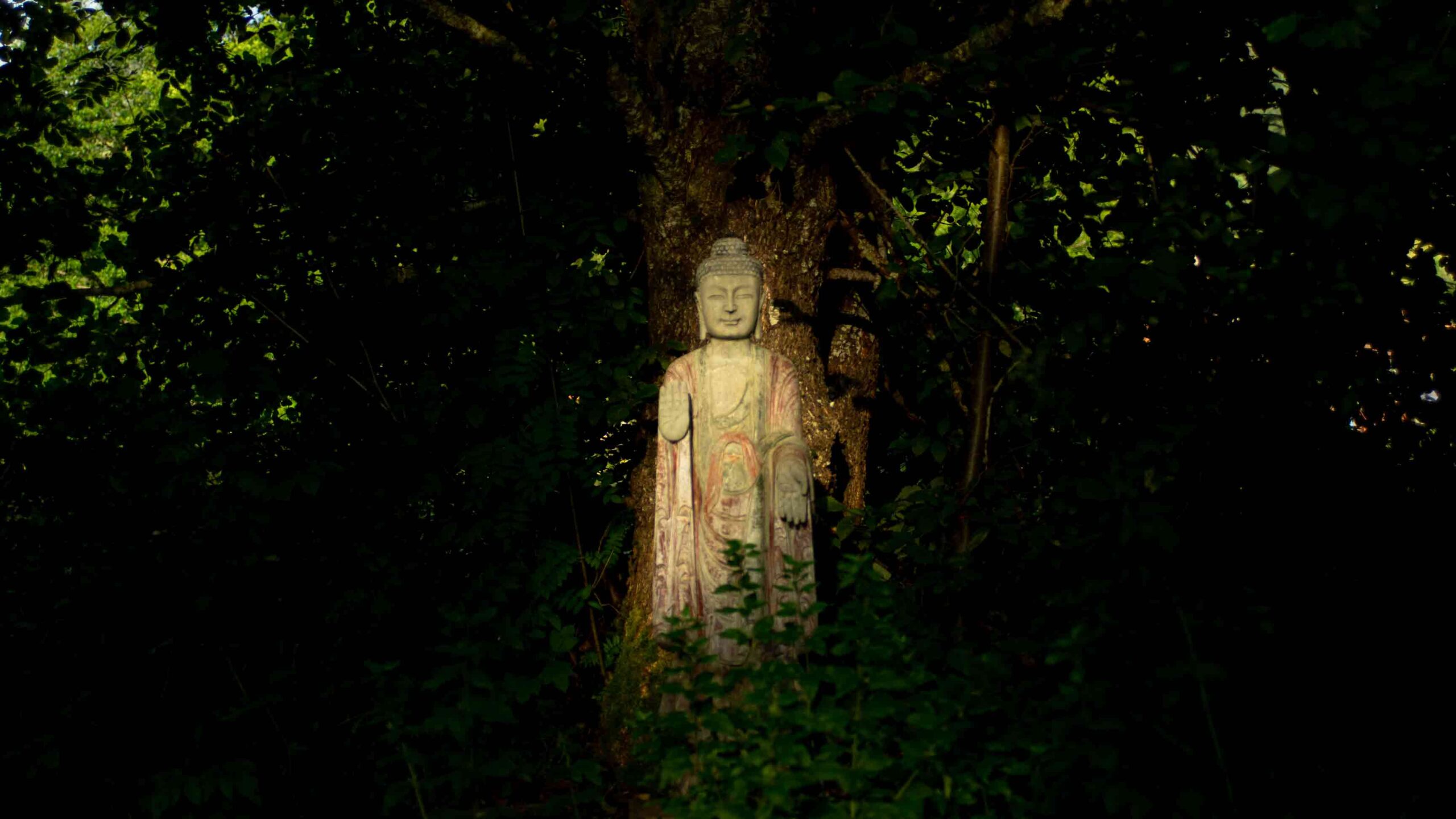 Offenheit Mut Zen Buddhismus Dharma Sangha Online